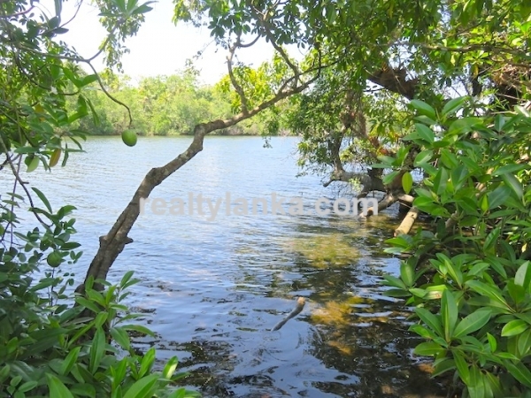 Property with Breathtaking View Of Koggala Lake